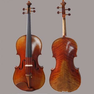 Violas